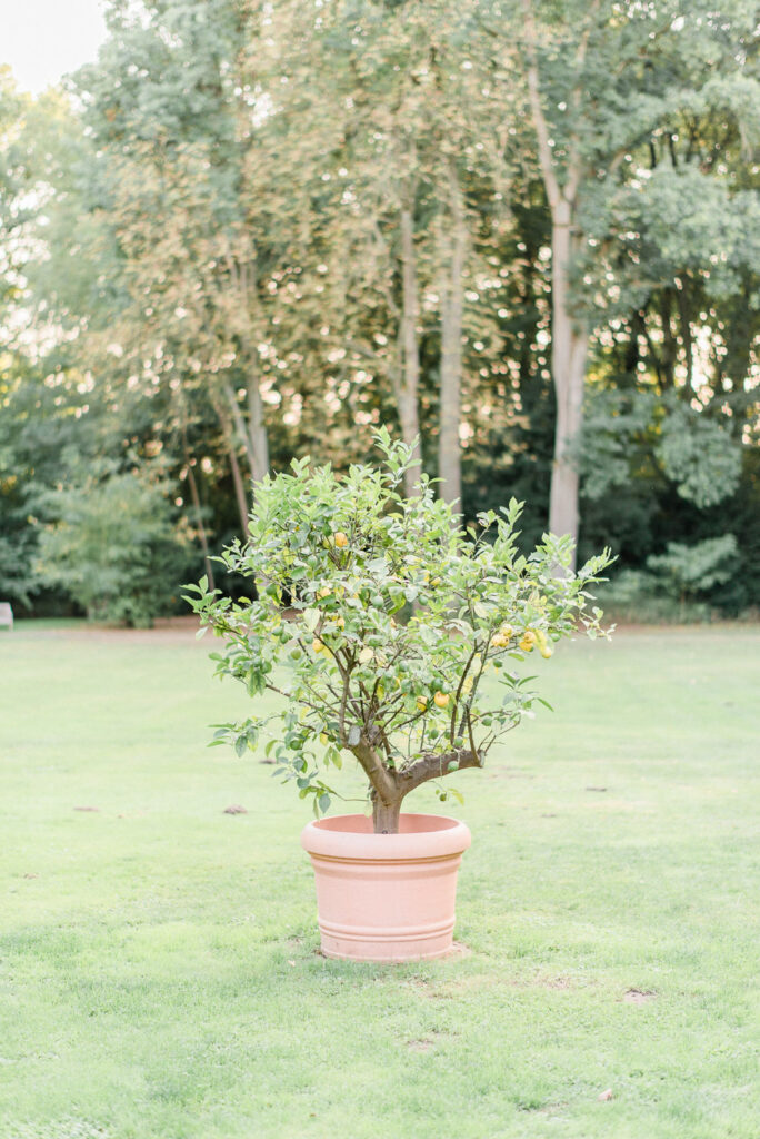 Fine Art Destination Wedding Photographer in Europe | Castle Wedding in Germany by Nicole Mihelic