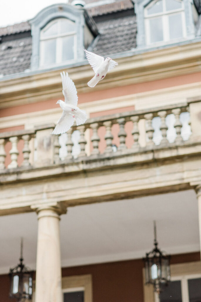 Fine Art Destination Wedding Photographer in Europe | Castle Wedding in Germany by Nicole Mihelic