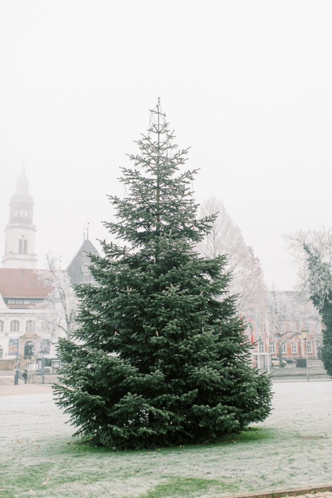 Fine Art Destination Wedding Photographer Europe | Fine Art Wedding Photographer Europe | Winter Castle Wedding Germany | Hochzeitsfotograf Celle Hamburg